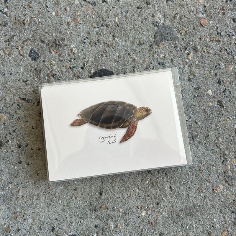 NOTECARD SET SEA TURTLE