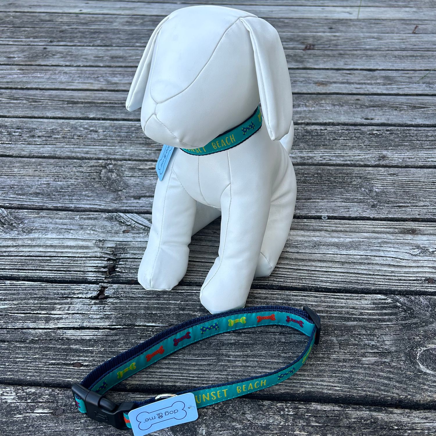 PET COLLAR SB PARTY BONES AQUA/NAVY LRG