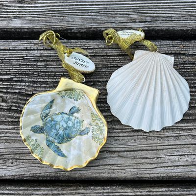 ORNAMENT SCALLOP PLAYA TURTLE