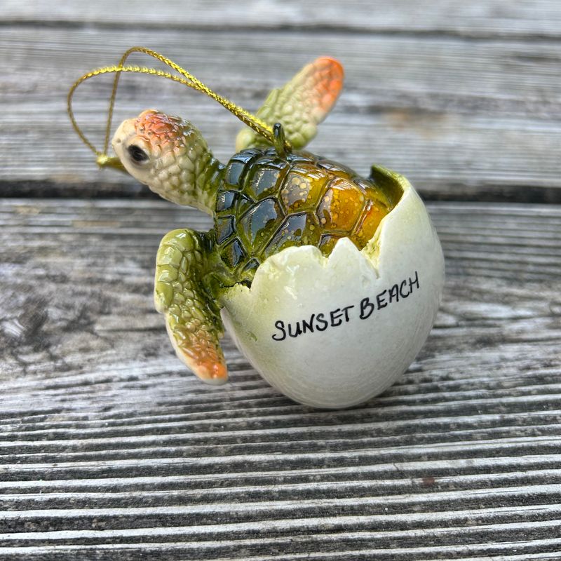 ORNAMENT BABY TURTLE HATCHING