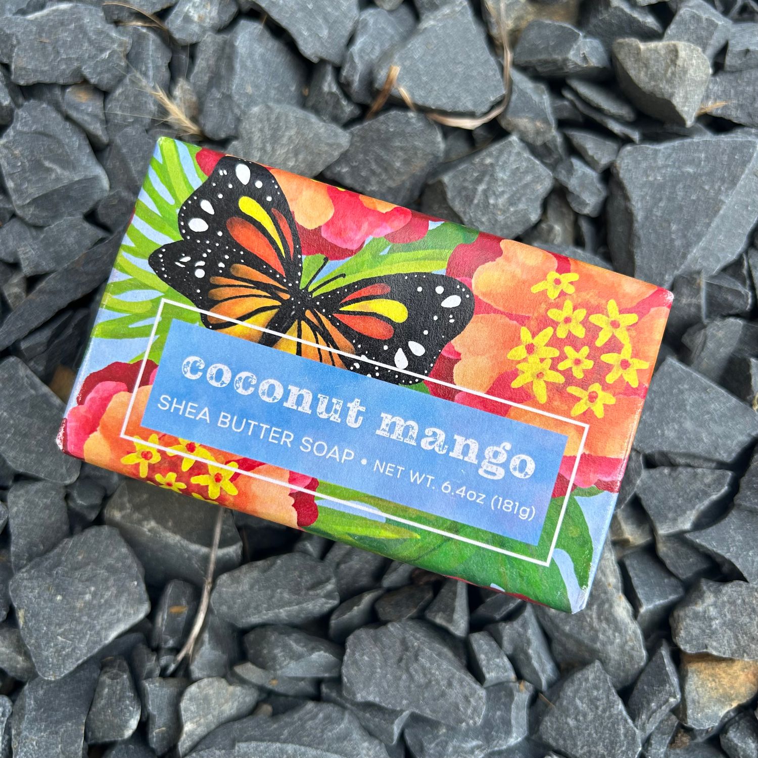 LRG COCONUT MANGO SOAP