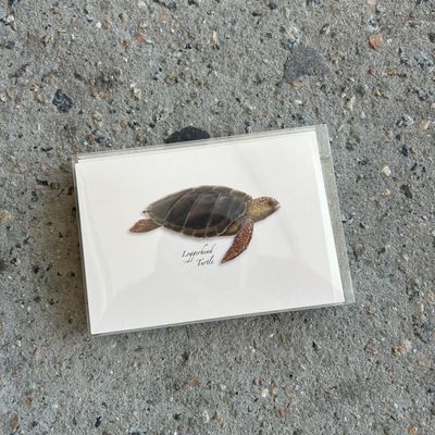 NOTECARD SET SEA TURTLE