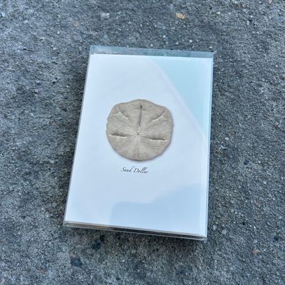 NOTECARD SET SAND DOLLAR
