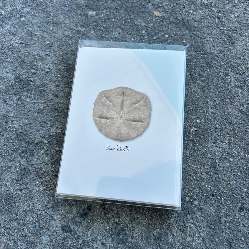NOTECARD SET SAND DOLLAR