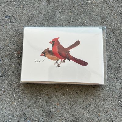 NOTECARD SET PETERSON'S BIRD ASST