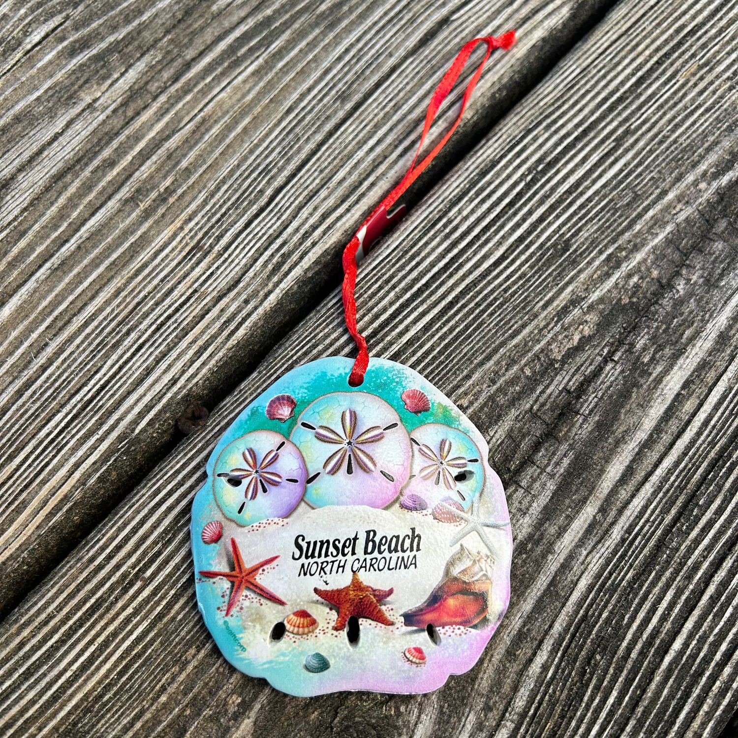 ORNAMENT SAND DOLLARS 3" SAND DOLLAR