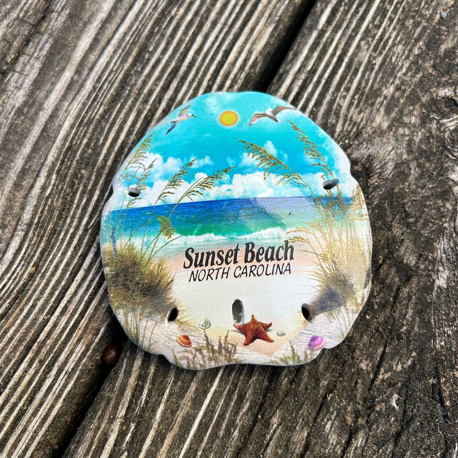MAGNET SEA OATS BEACH SCENE 3" SAND DOLLAR