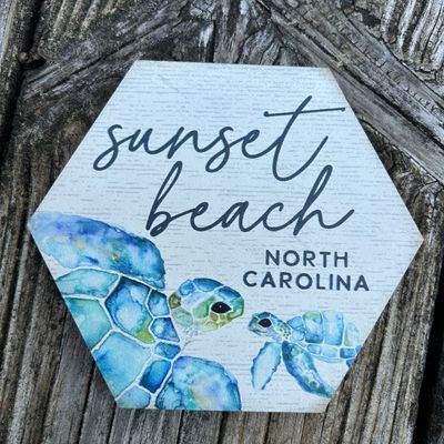 COASTER/MAGNET  TURTLES