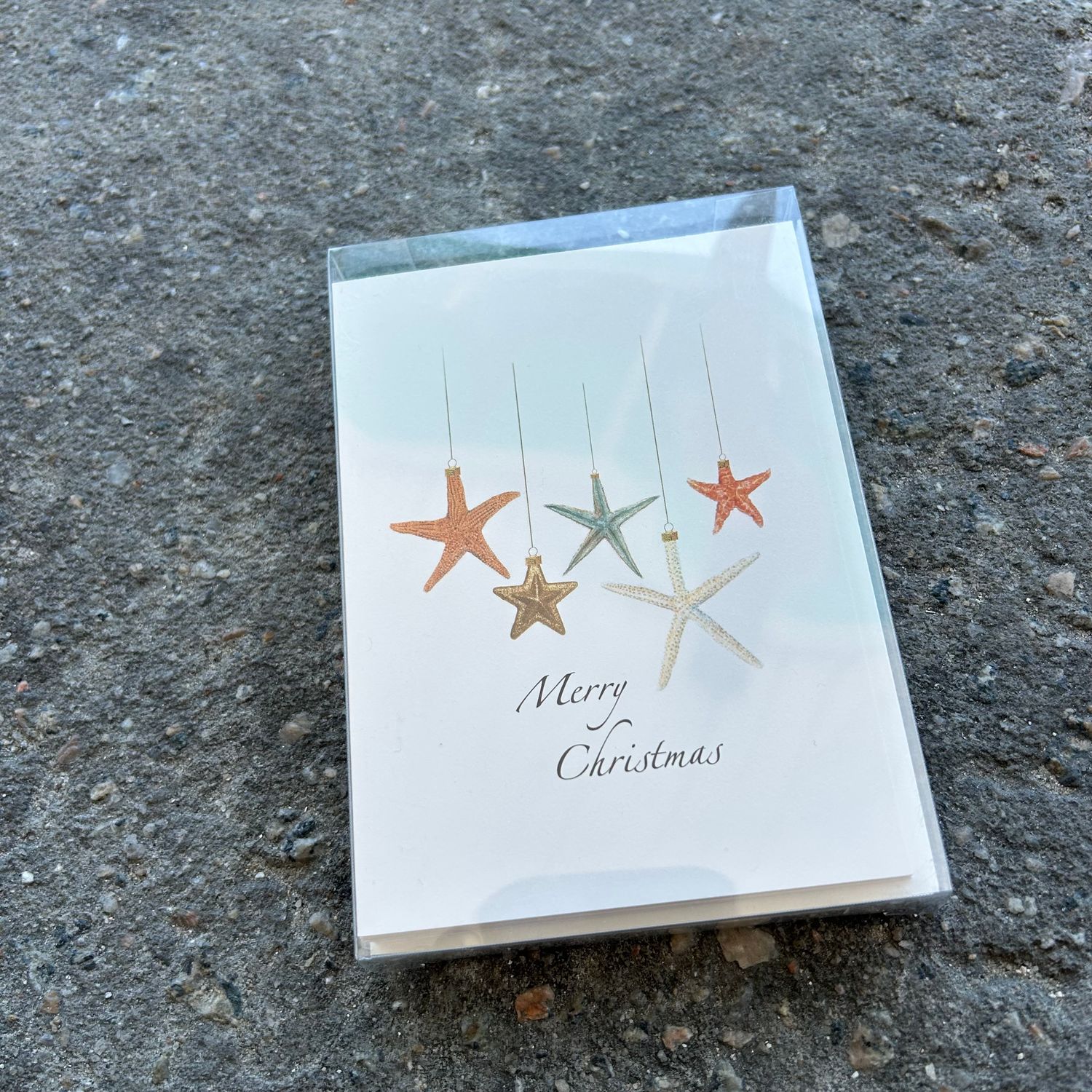 NOTECARD SET BEACHCOMBER XMAS