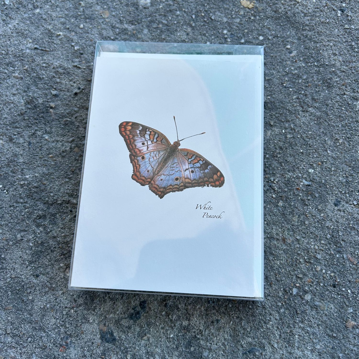 NOTECARD SET BUTTERFLY ASST II