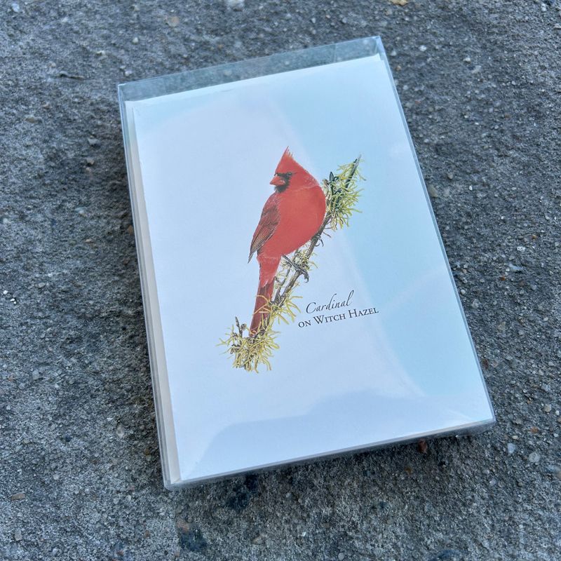 NOTECARD SET CARDINAL ON WITCH HAZEL