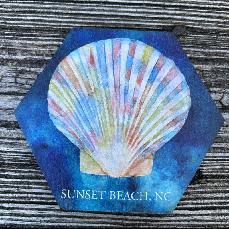 COASTER/MAGNET  COLORFUL SEASHELL SB