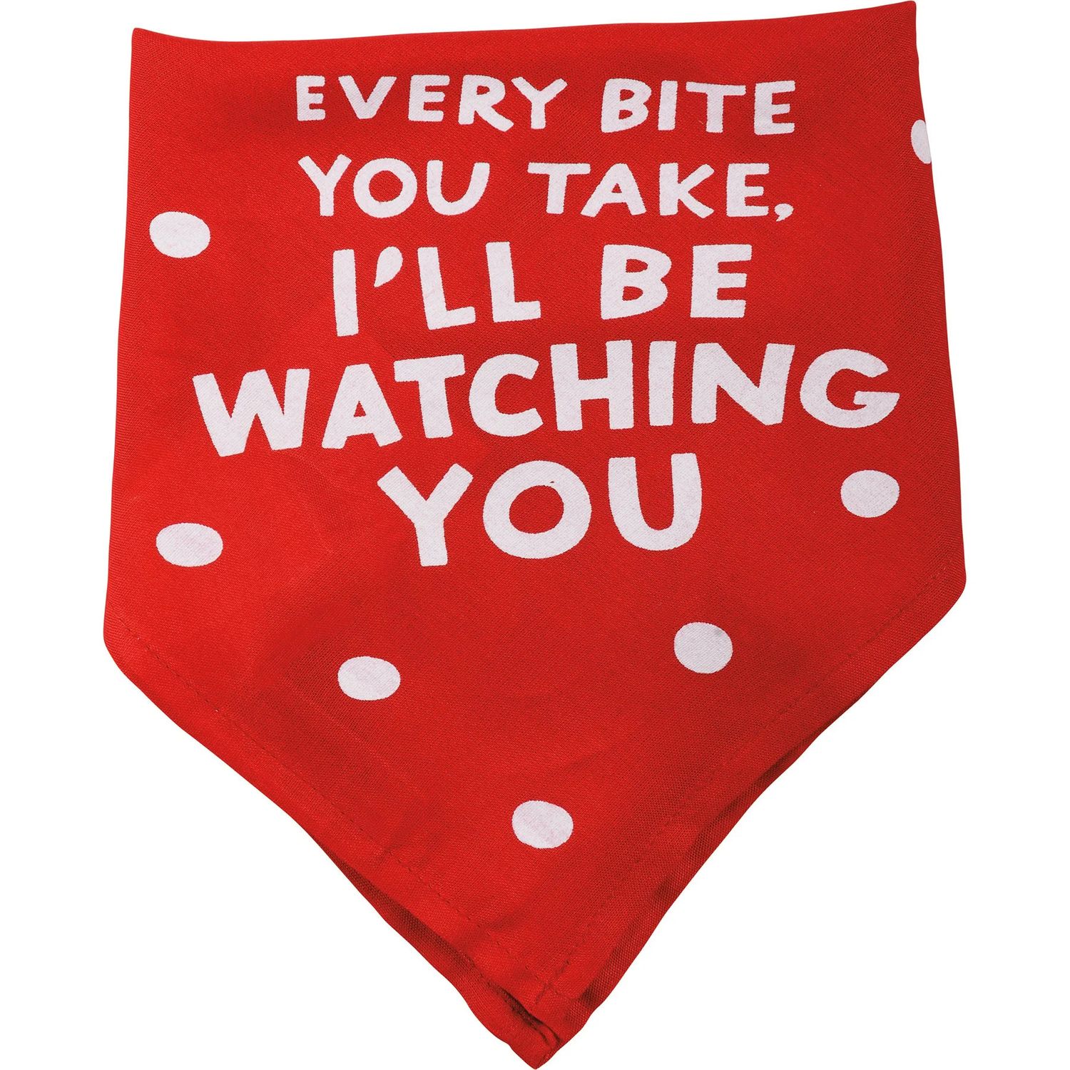 PET BANDANA FOOD/WATCHING YOU LARGE