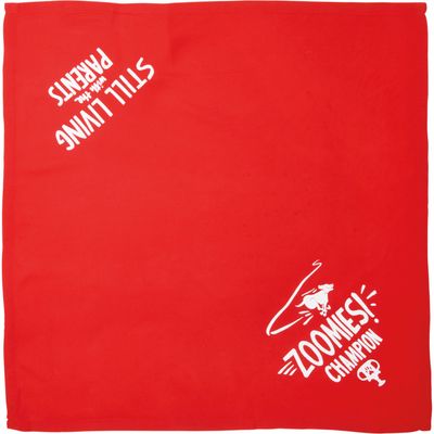 PET BANDANA ZOOM/PARENTS LARGE