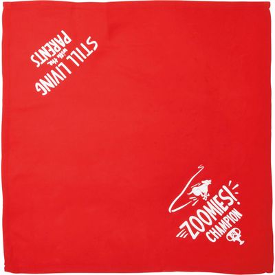 PET BANDANA ZOOM/PARENTS SMALL