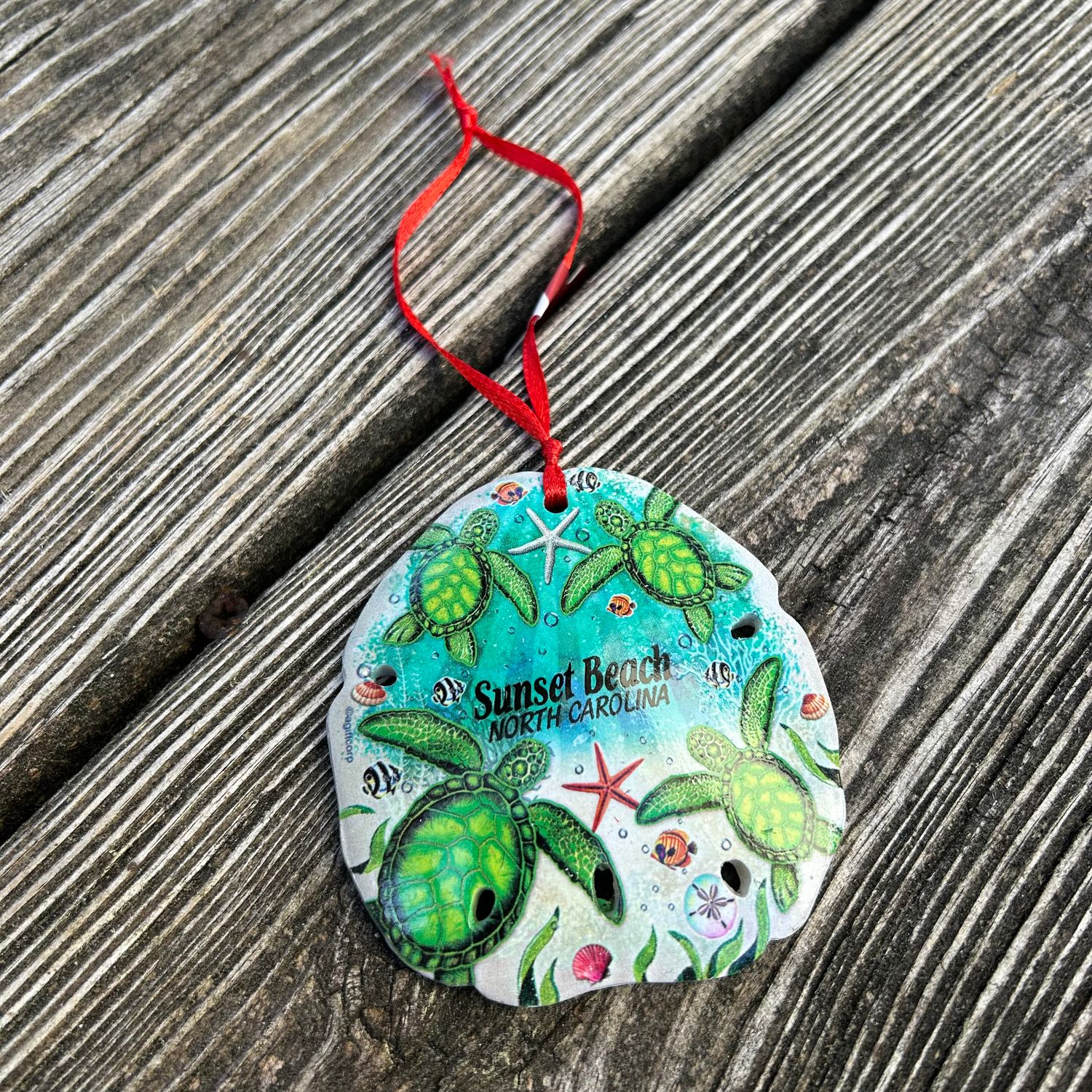 ORNAMENT SEA TURTLES 3" SAND DOLLAR