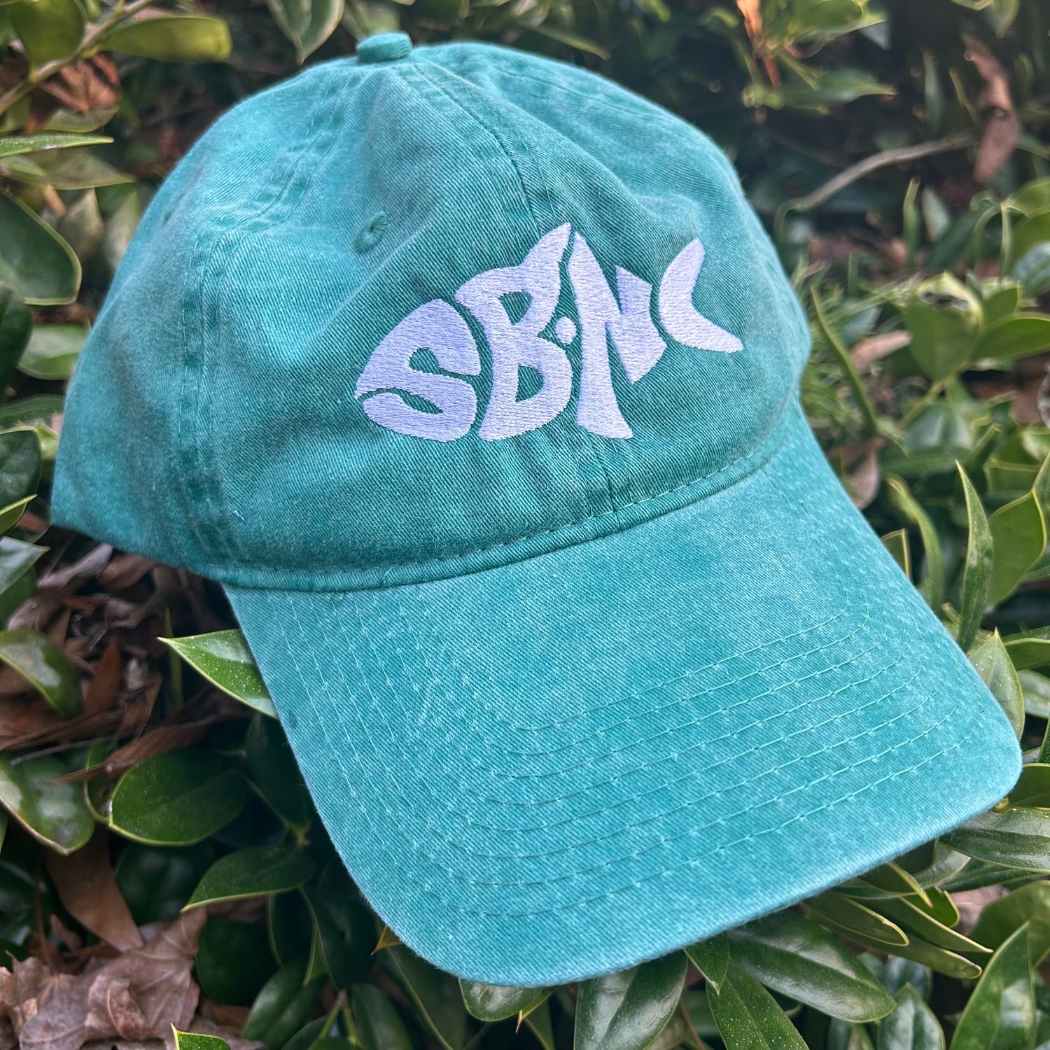 CAP SBNC FISH PDYE (SPRUCE)