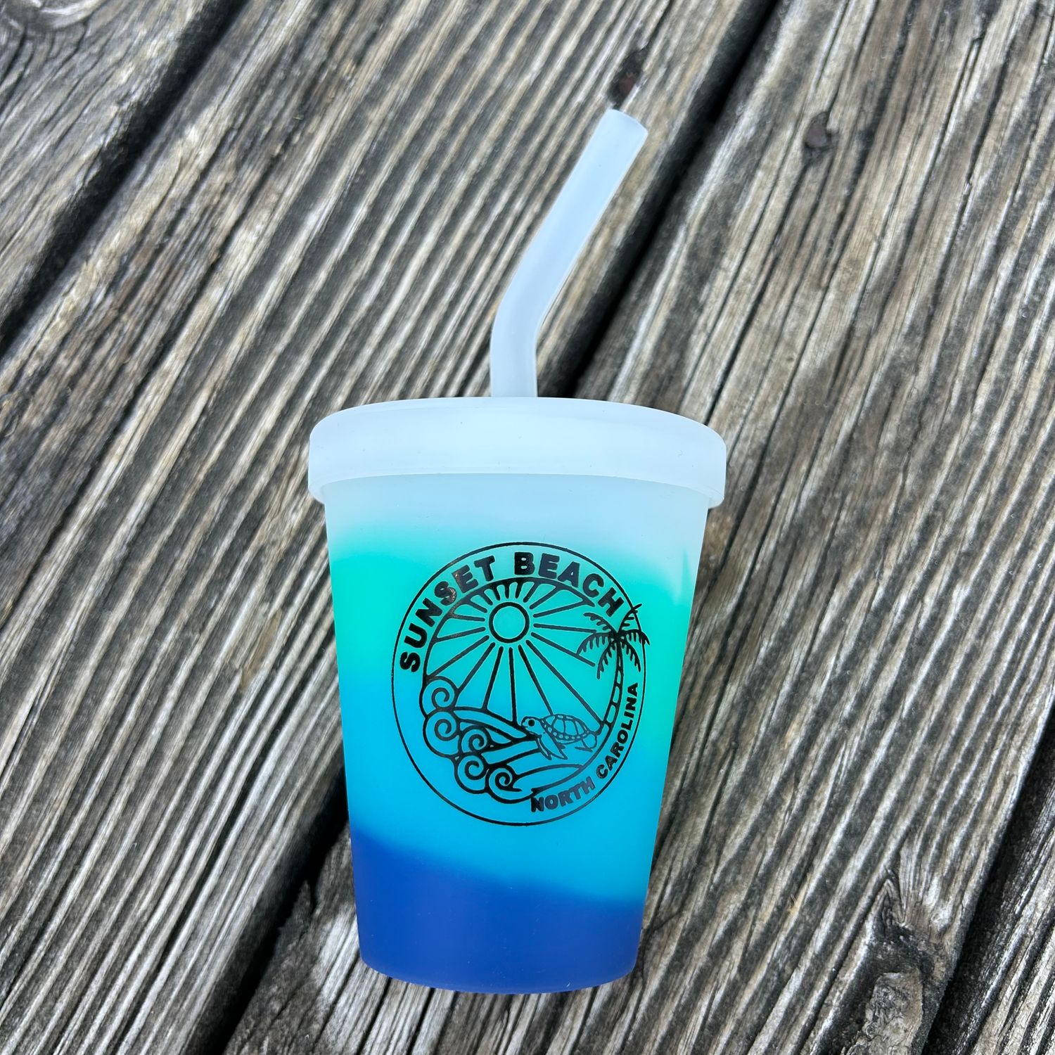 SILICONE CUP W/STRAW BEACHY VIBE 9oz CUP (SEAGLASS)