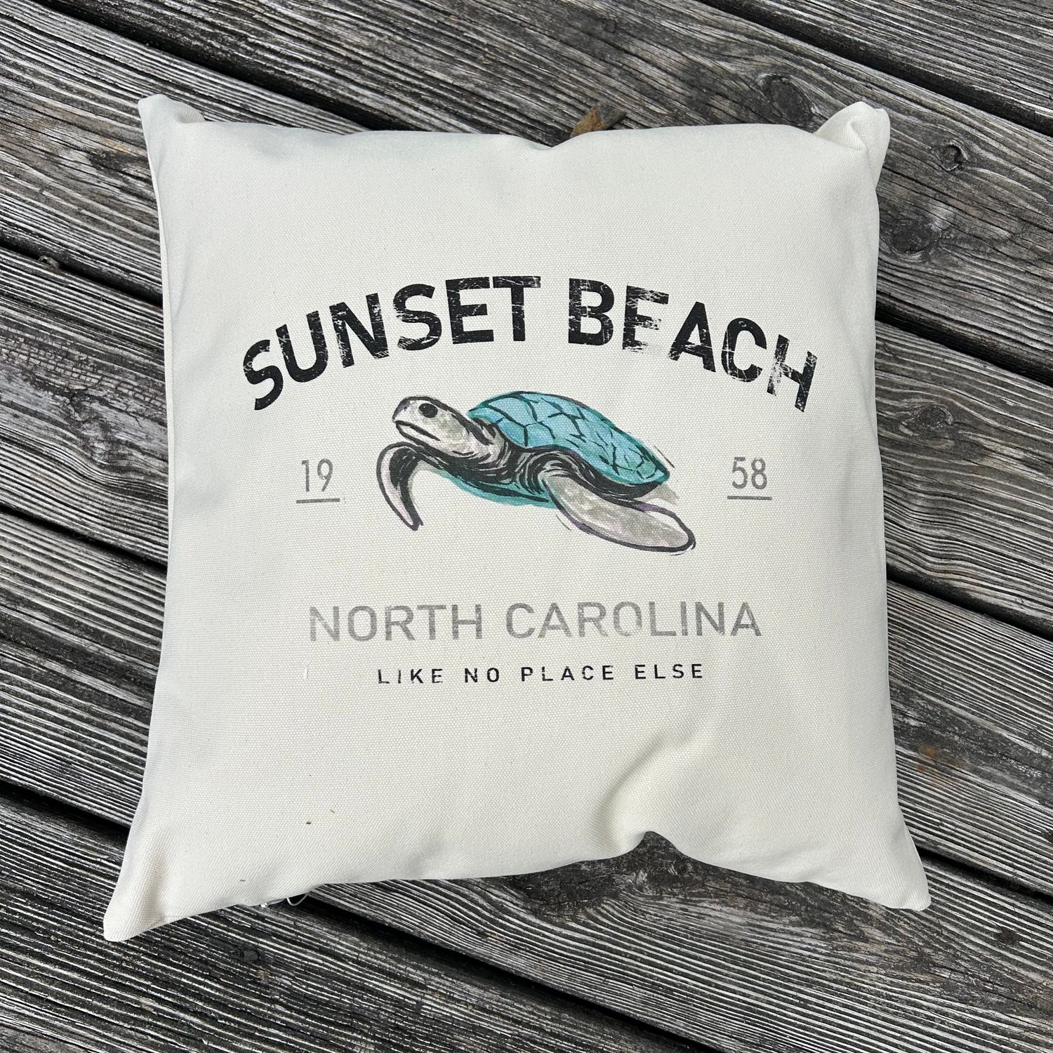 PILLOW NO PLACE TURTLE