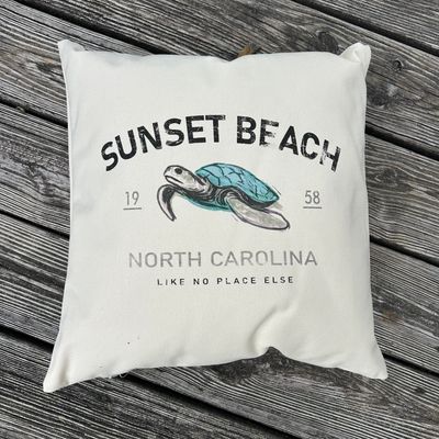 PILLOW NO PLACE TURTLE