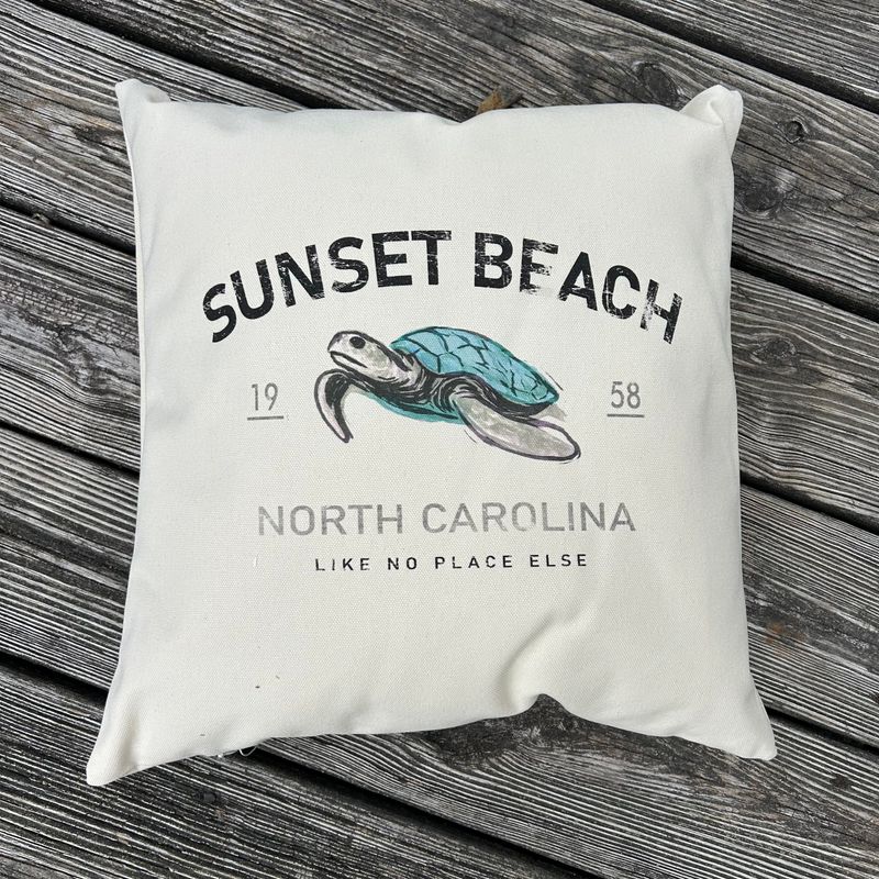 PILLOW NO PLACE TURTLE