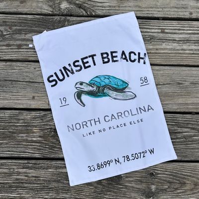 GARDEN FLAG NO PLACE TURTLE