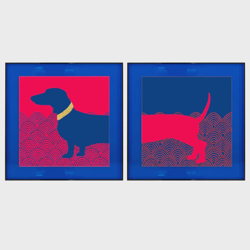 Teckel roze/blauw en blauw/geel