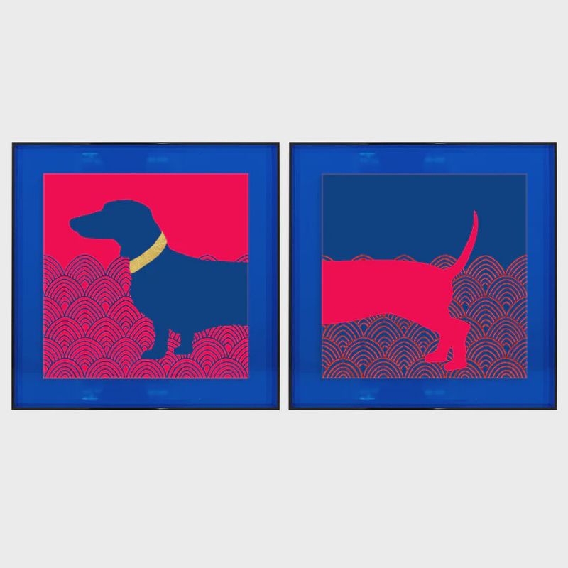 Teckel roze/blauw en blauw/geel