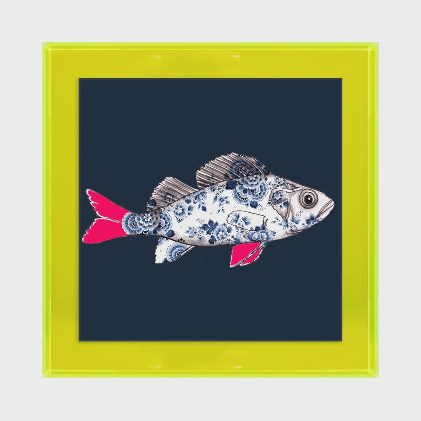 Funky Fish Baars Blauw ( Neon geel/roze)