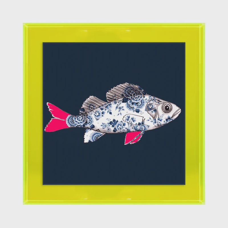 Funky Fish Baars Blauw ( Neon geel/roze)