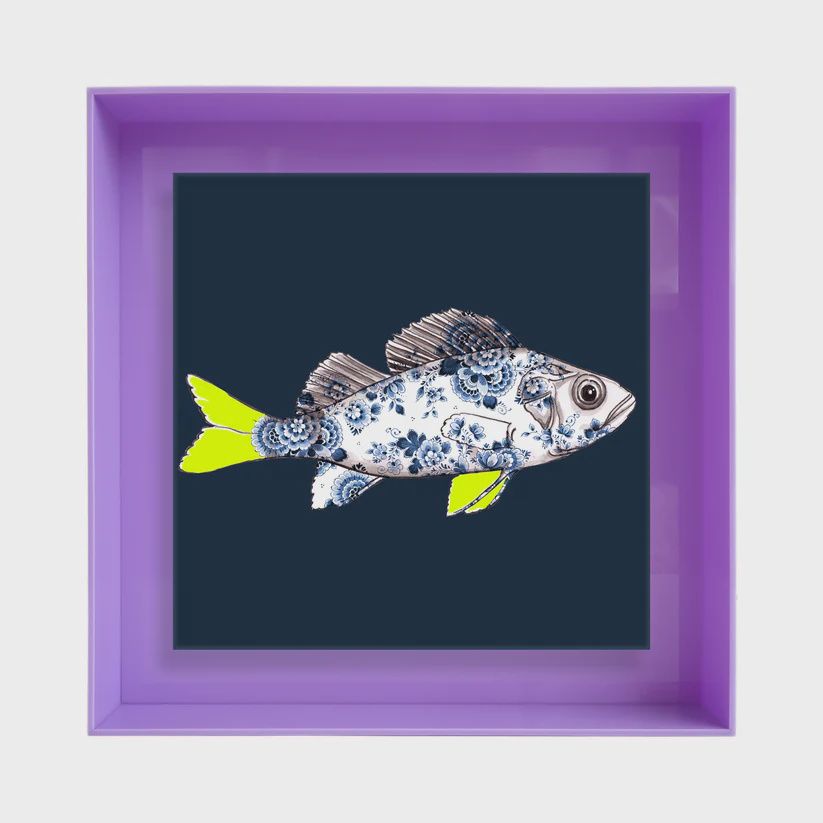 Funky Fish Baars Blauw ( Solid lila/geel detail)