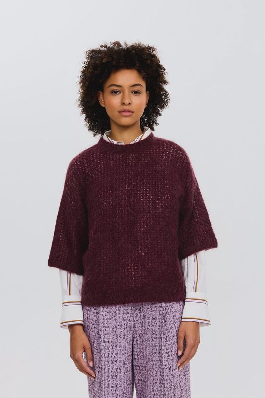CKS PHEBE purple dark