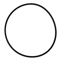 Davey Spa-Quip Series 2000/Easy Clear/EcoPure Filter Lid O’ring