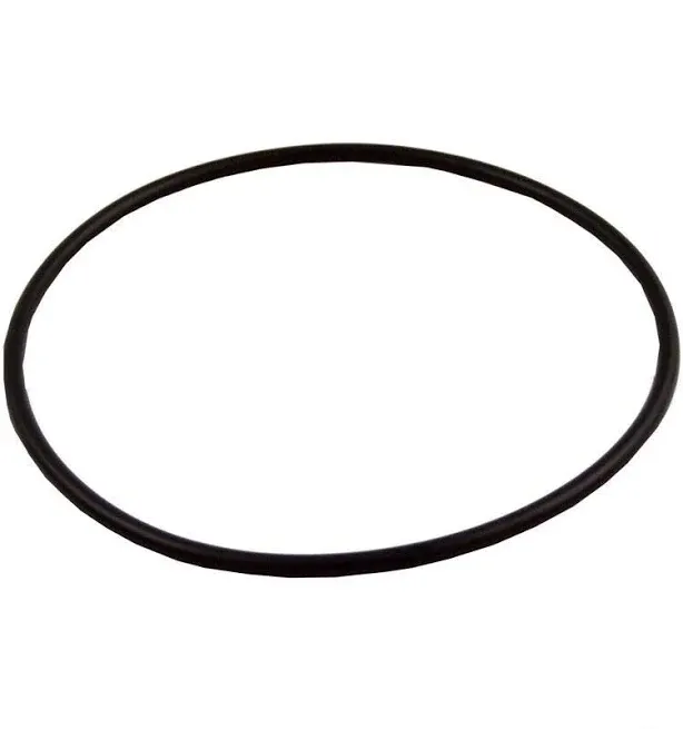Hayward leaf canister oring-GENUINE