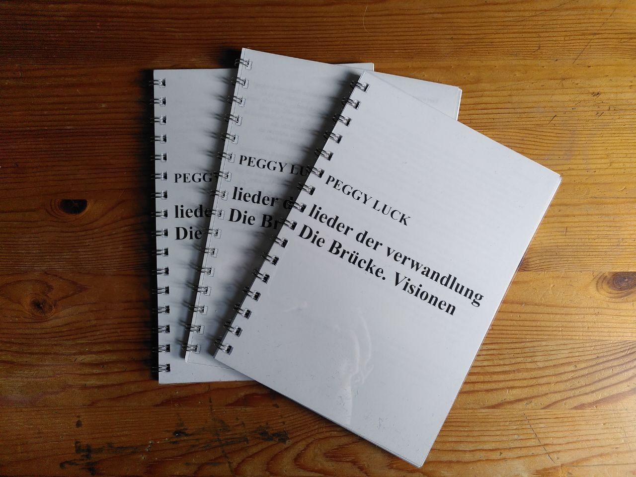 Buch-mit-Liedern Buch-mit-Liedern "lieder der verwandlung / Die Brücke. Visionen"