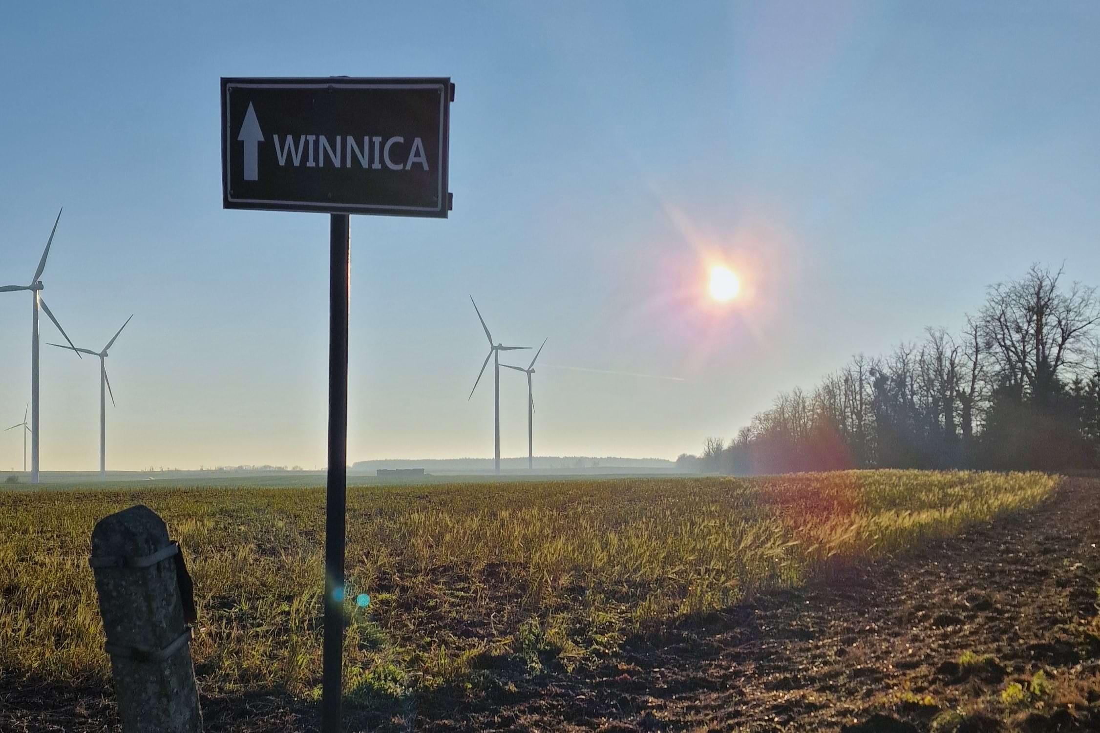 baniewice-w-mediach-znak-drogi-na-winnice