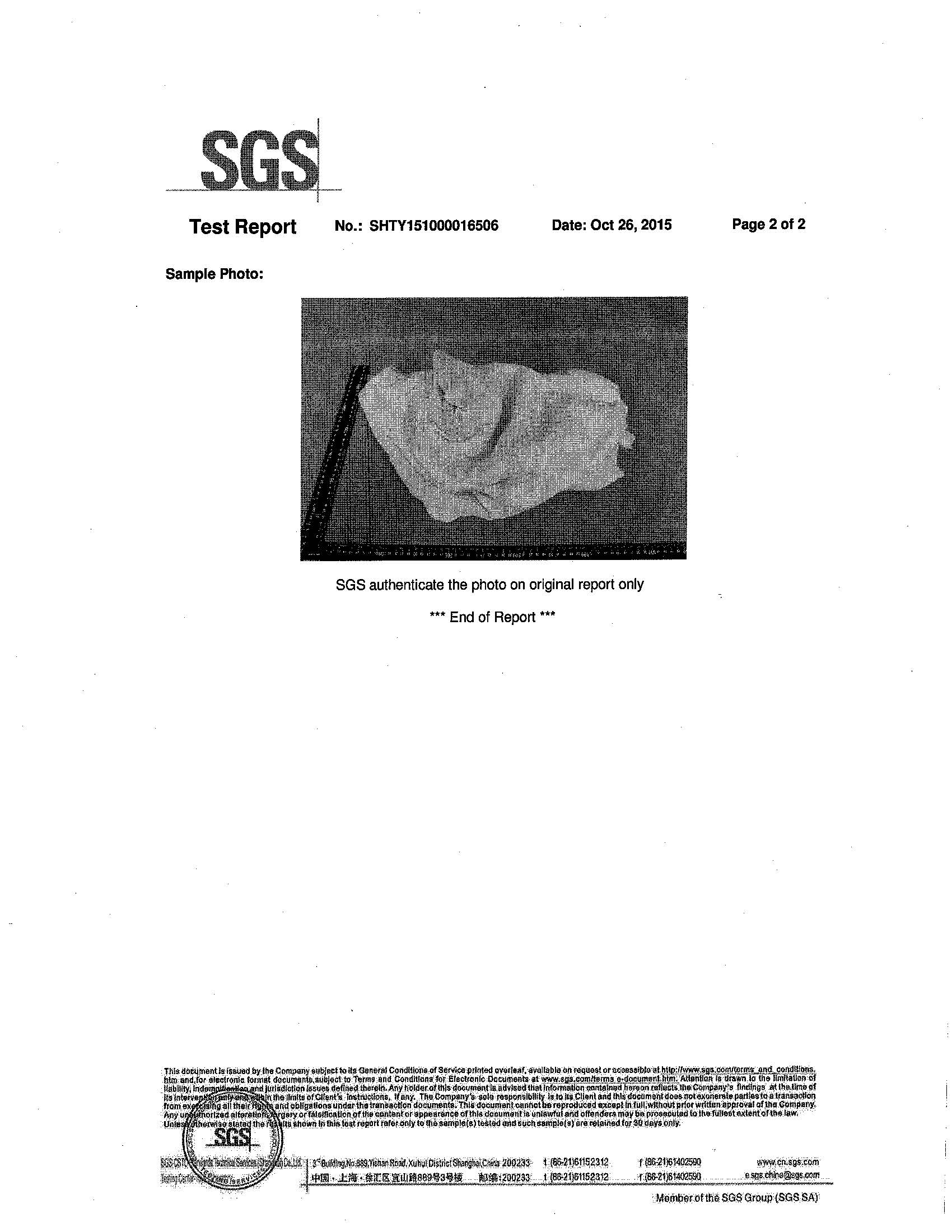 SGS Test Report Bamboo Cotton Fleece Flammability Page 2