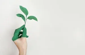 A person 's hand is painted green and holding a green plant.