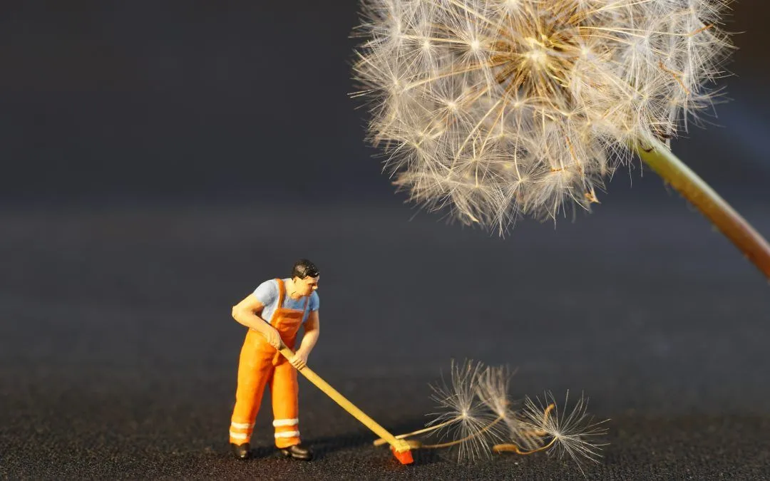 Do you Know what to Look for in a Commercial Cleaner?