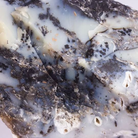 Dendriet Agaat gepolijst