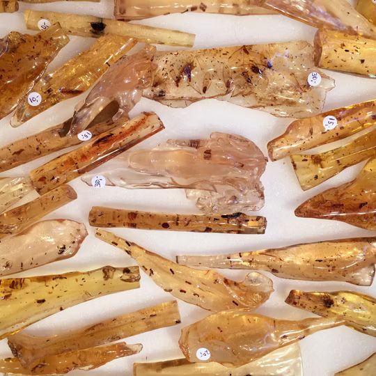 Copal