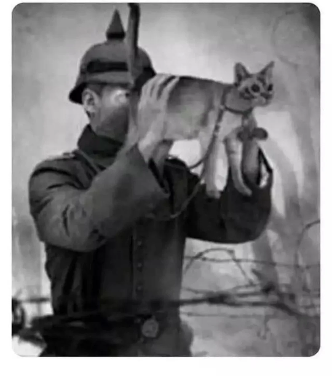 Cats Eye Night Vision Employed by German Soldier in WW1