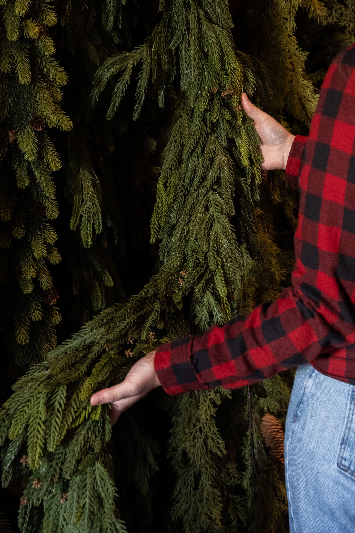 Norfolk Cascade Garland