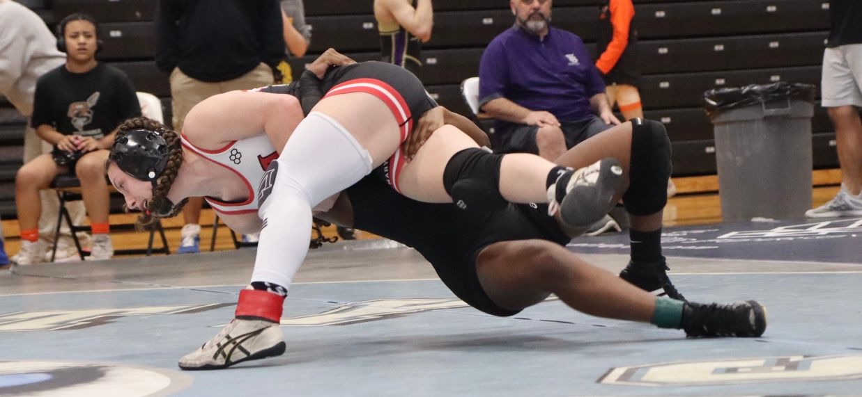 Savannah's Collection