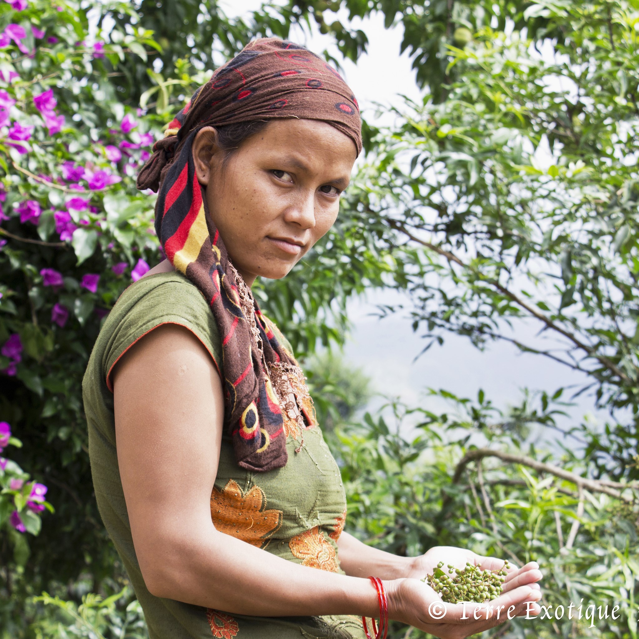 Pippuriviikot – viikot, jolloin kaikki pippurit ovat 10% edullisempia.