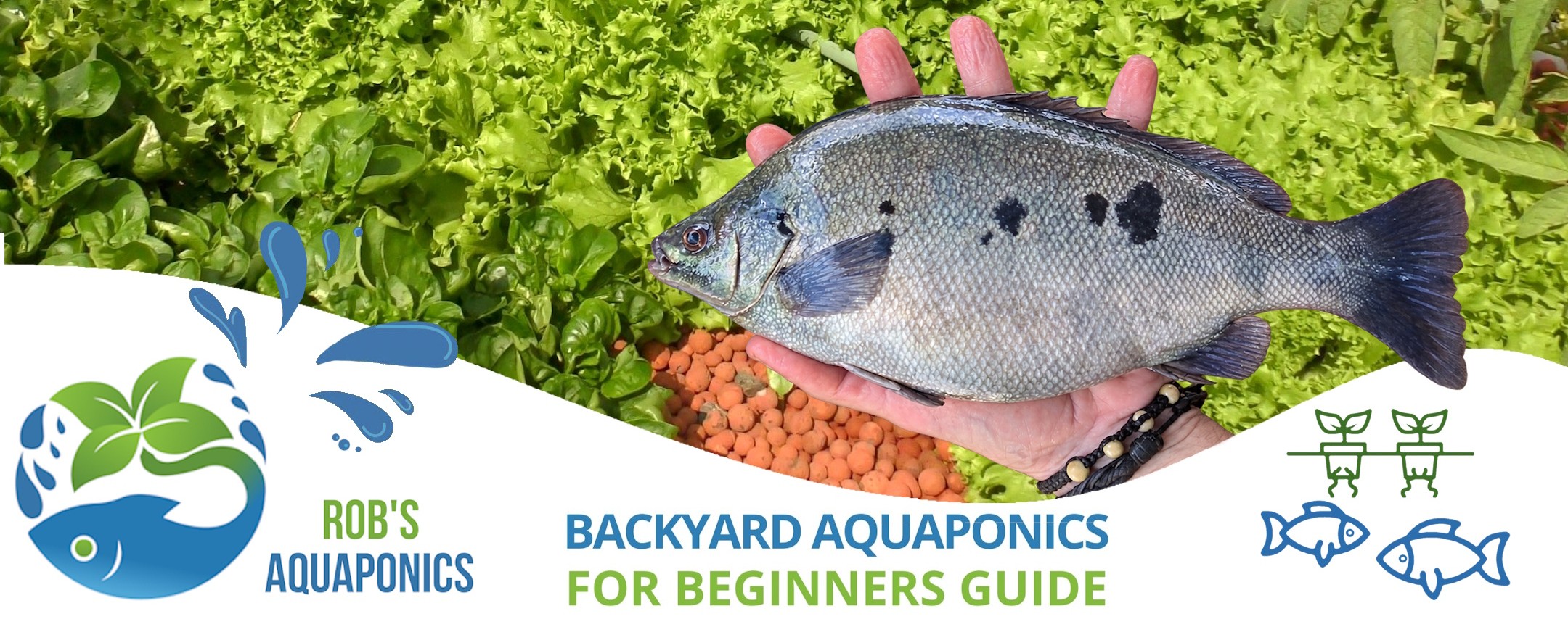 Backyard Aquaponics Guide