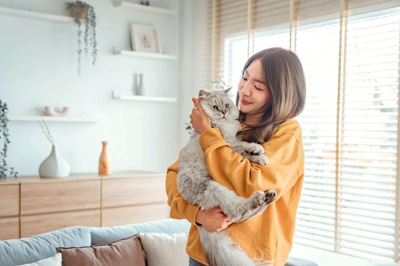 Katze verliert Haare an den Ohren