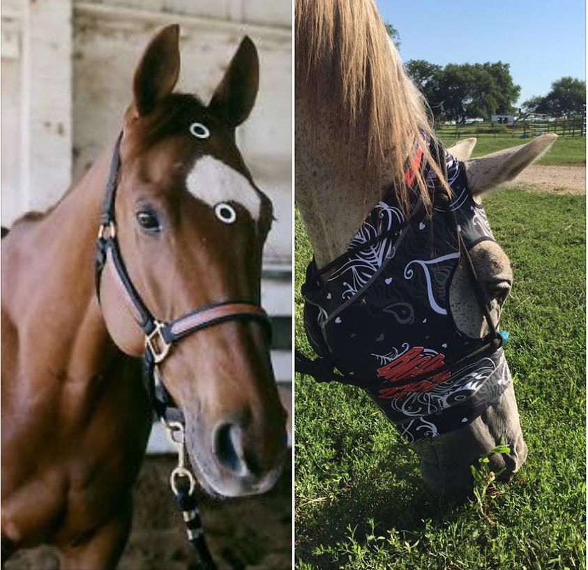 Hidez Compression Masks Hidez Compression Masks
