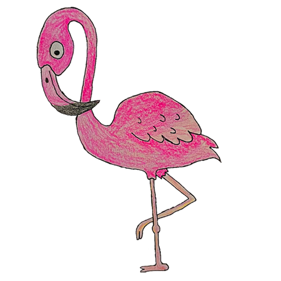 Flamingo Design