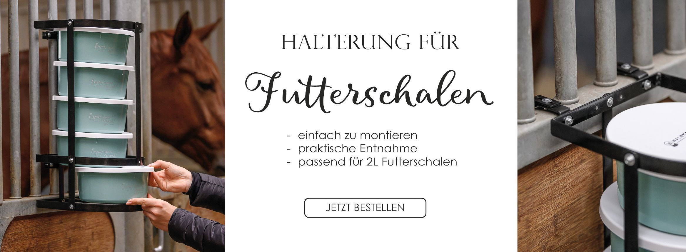 Jetzt entdecken